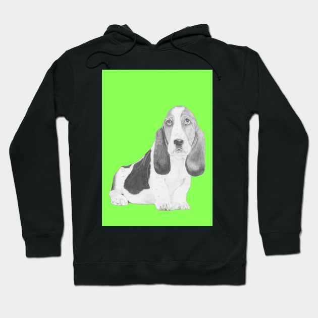 Basset Hound Puppy in Green Hoodie by DavidASmith